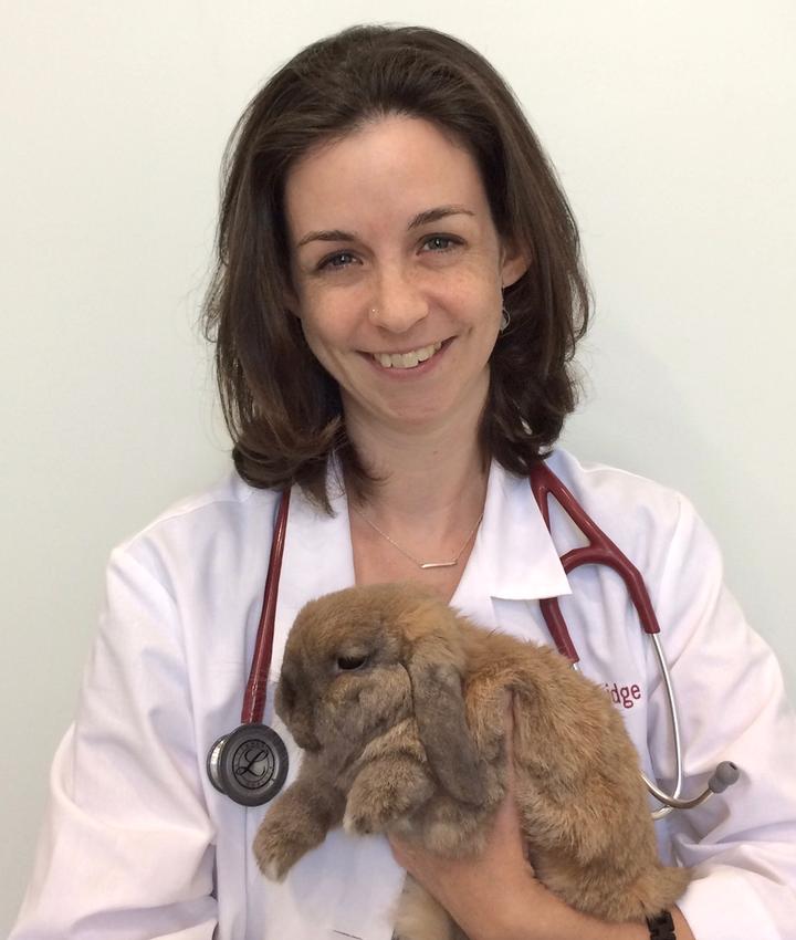 Dr. Thea Doidge, DVM LexingtonBedford Veterinary Hospital